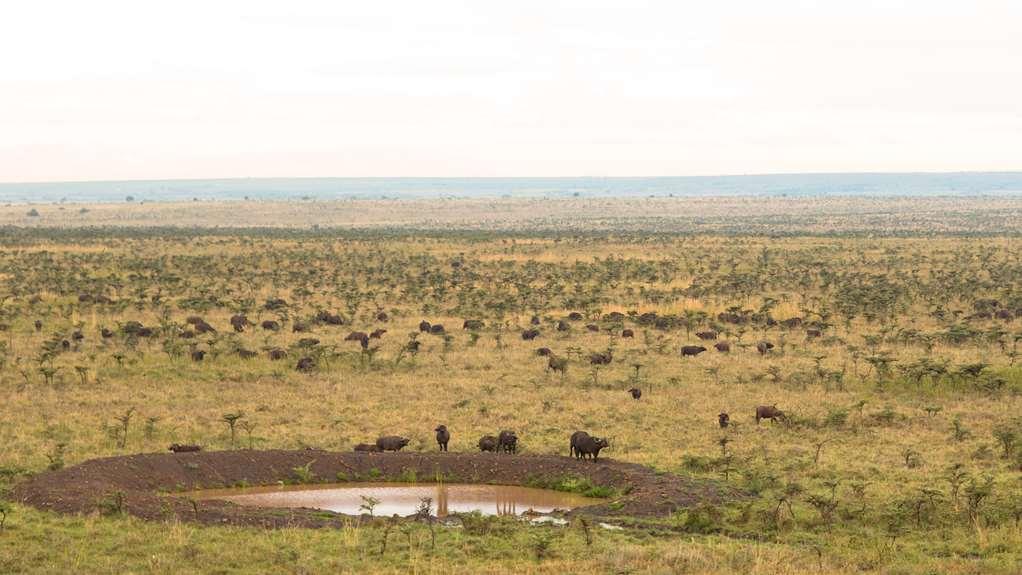 Ole Sereni Найроби Экстерьер фото